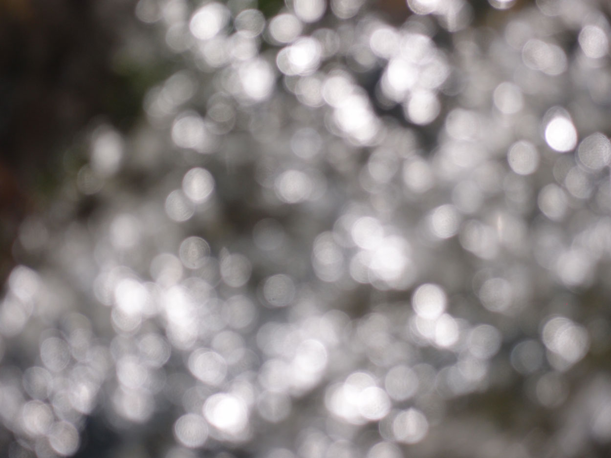 2016-02-10 am Fluss (Foto, Video)